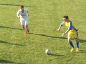 Mali Perica i 30 mačora